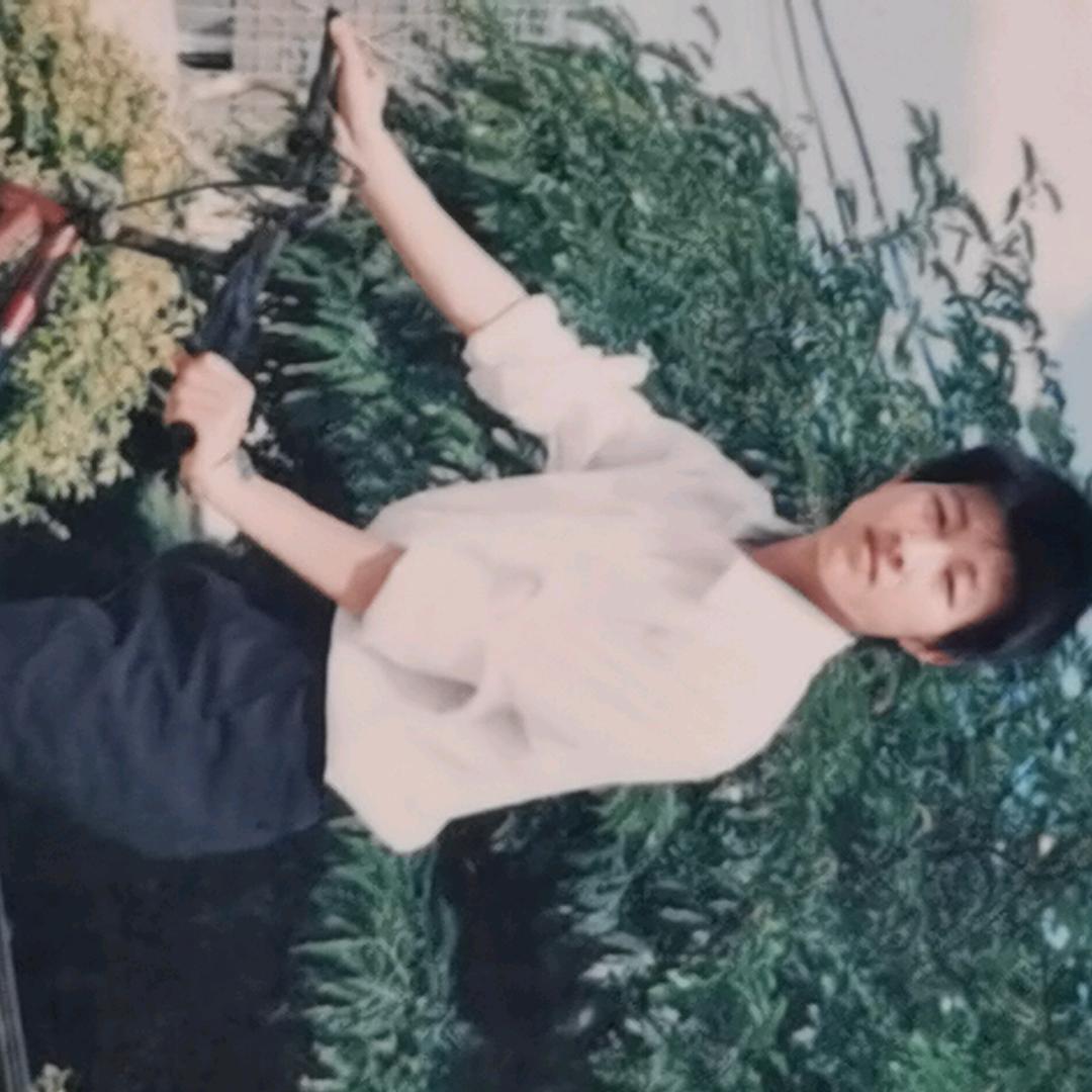 精卫填海