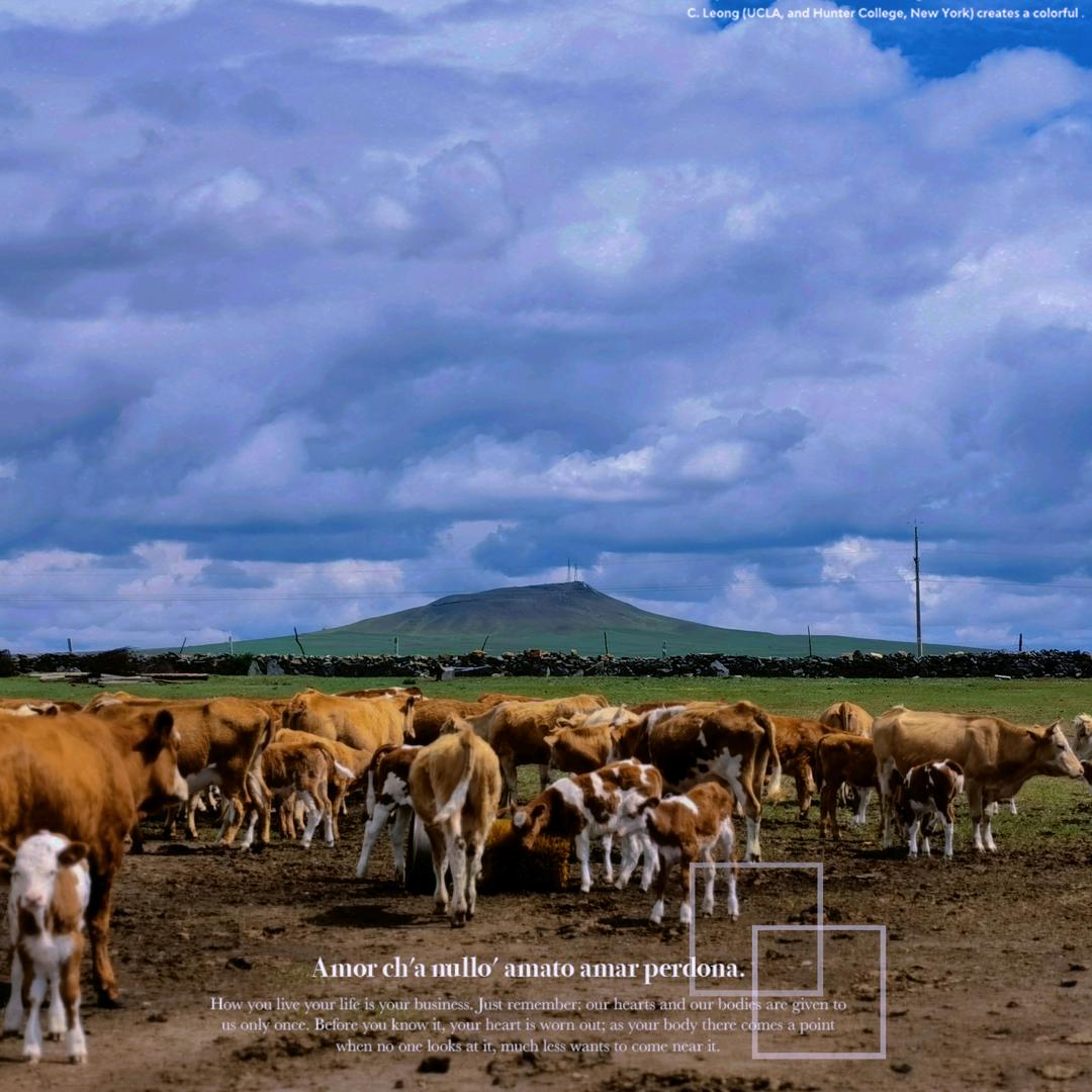 海乐生态家庭牧场