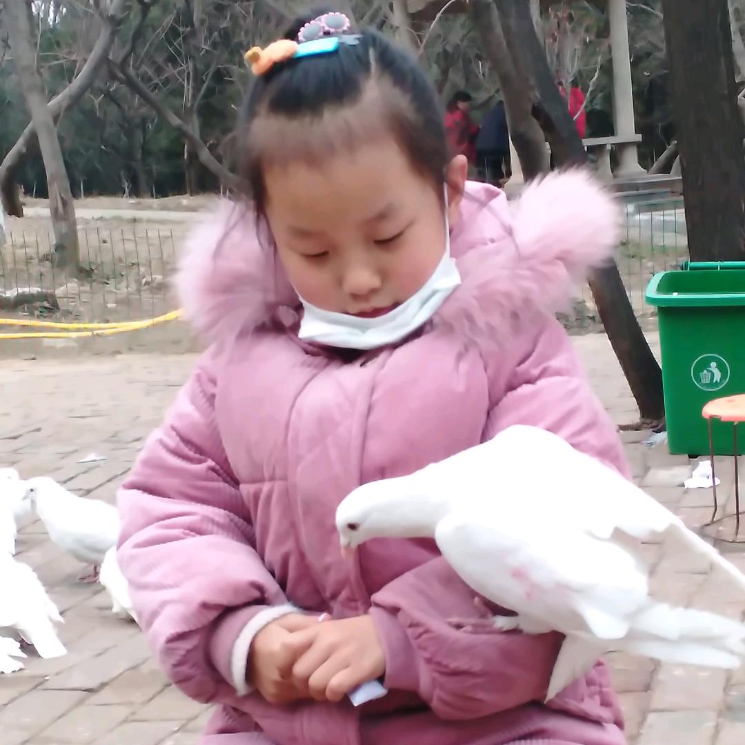 萌萌的