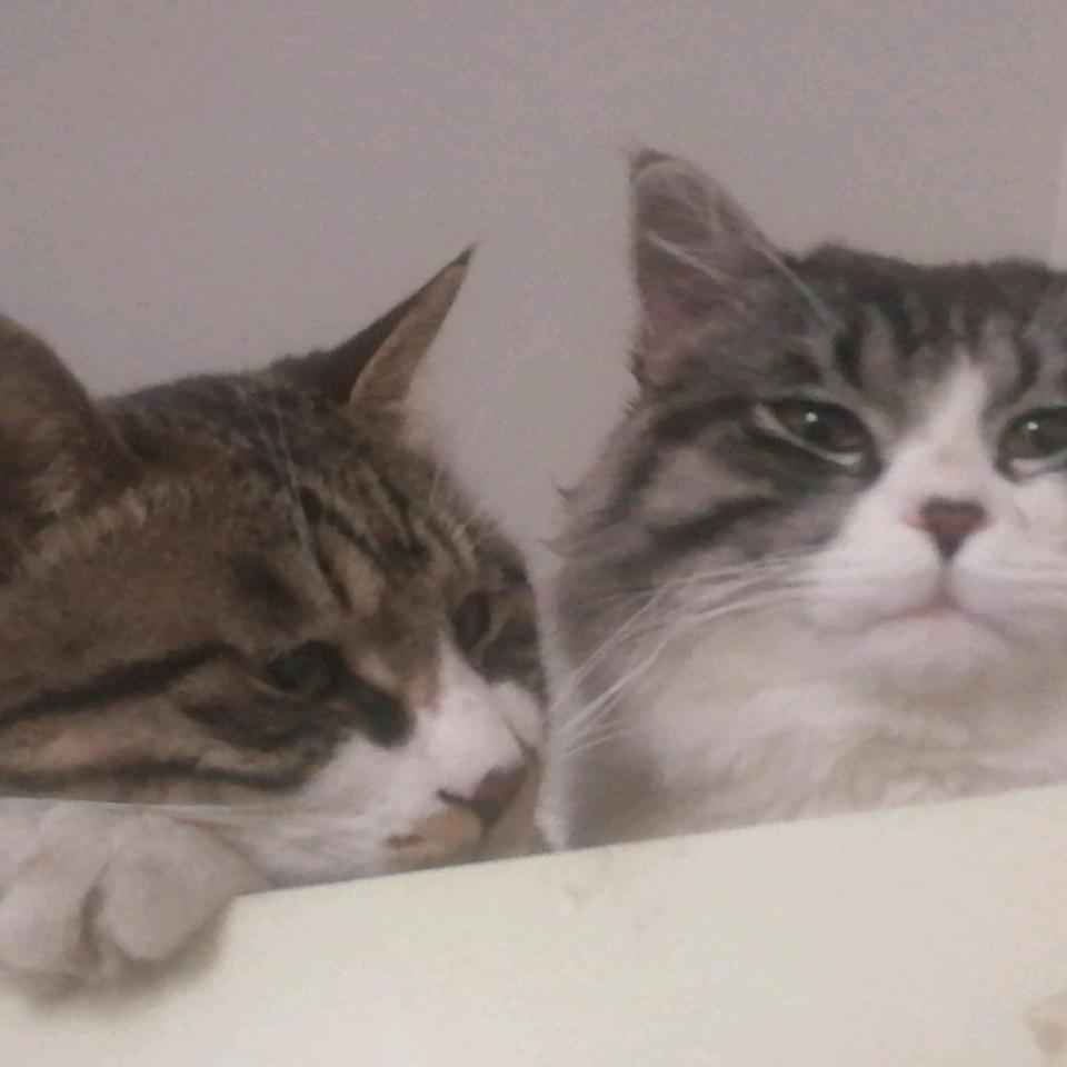 不念过去，不惧未来