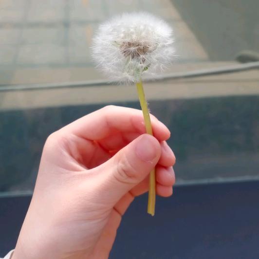 随心而行🇨🇳