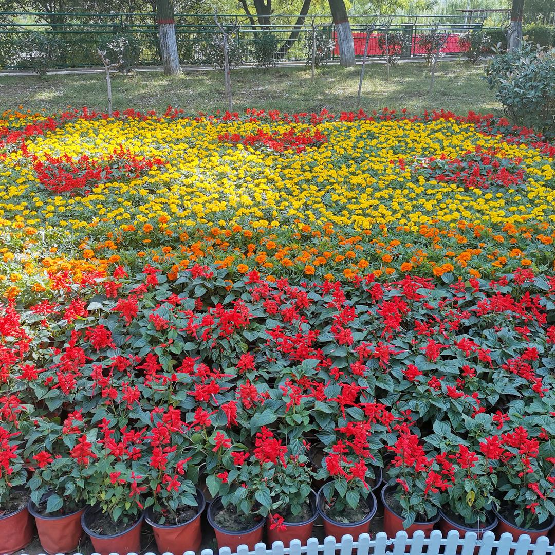 阳光明媚阳光城