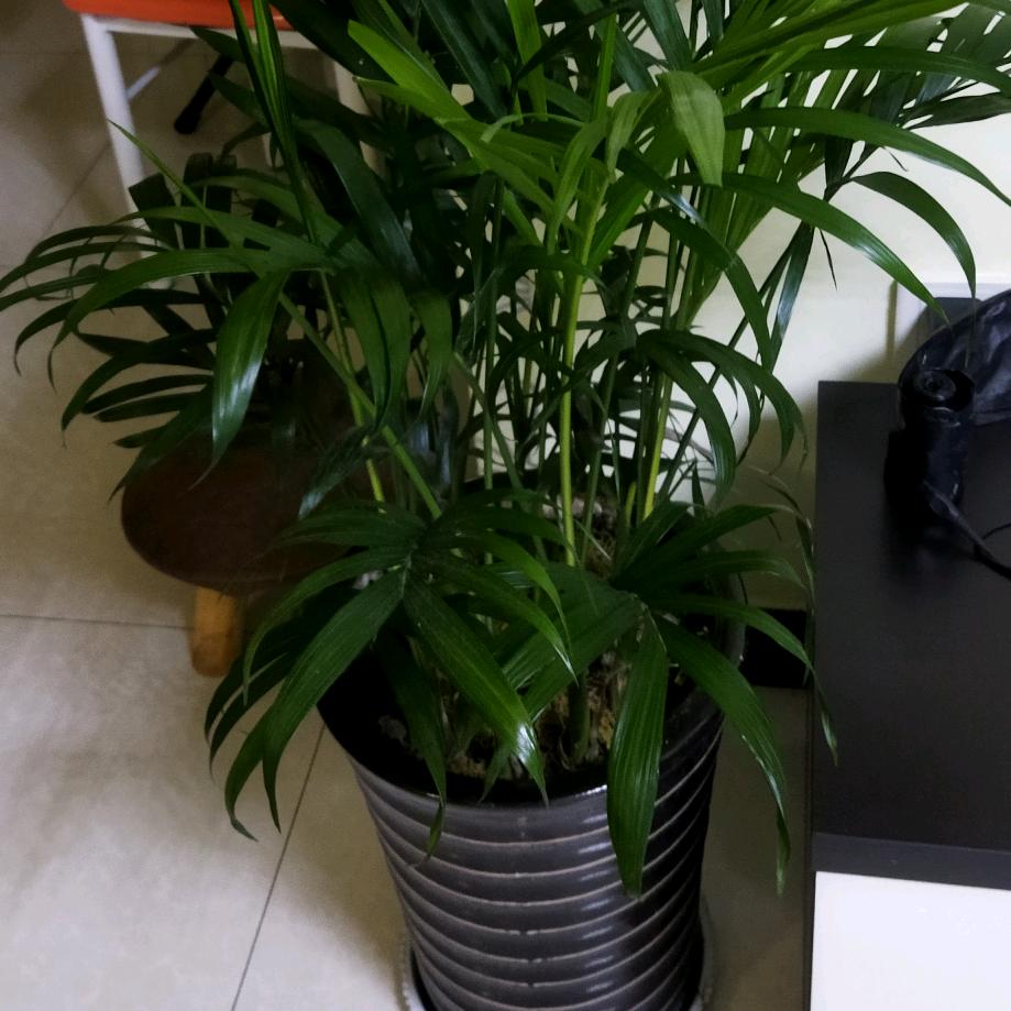 大悟