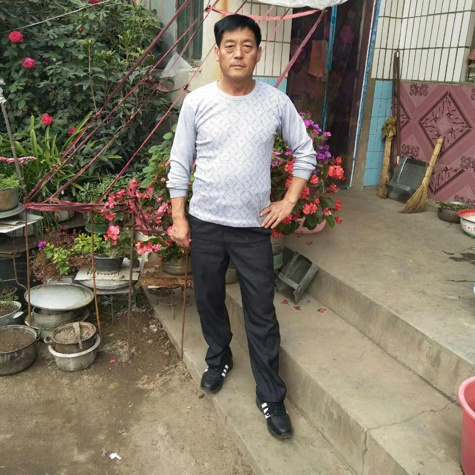 沉睡雄狮:辛庄大刘家，煤好又耐烧，诚信.