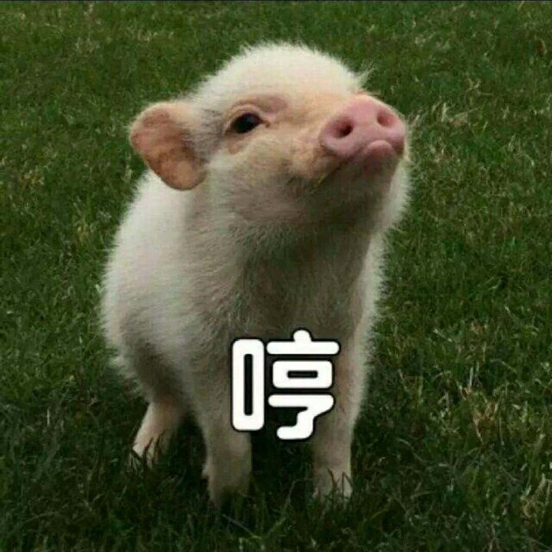 wooo