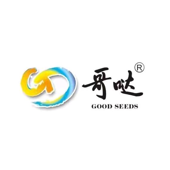 哥哒瓜子厂家豆满仓食品经营中心