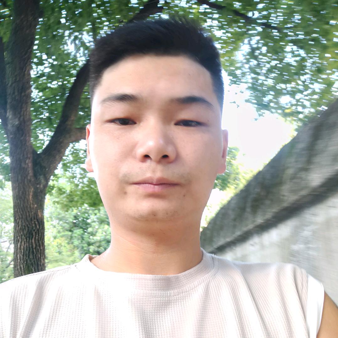 赛鸽小白