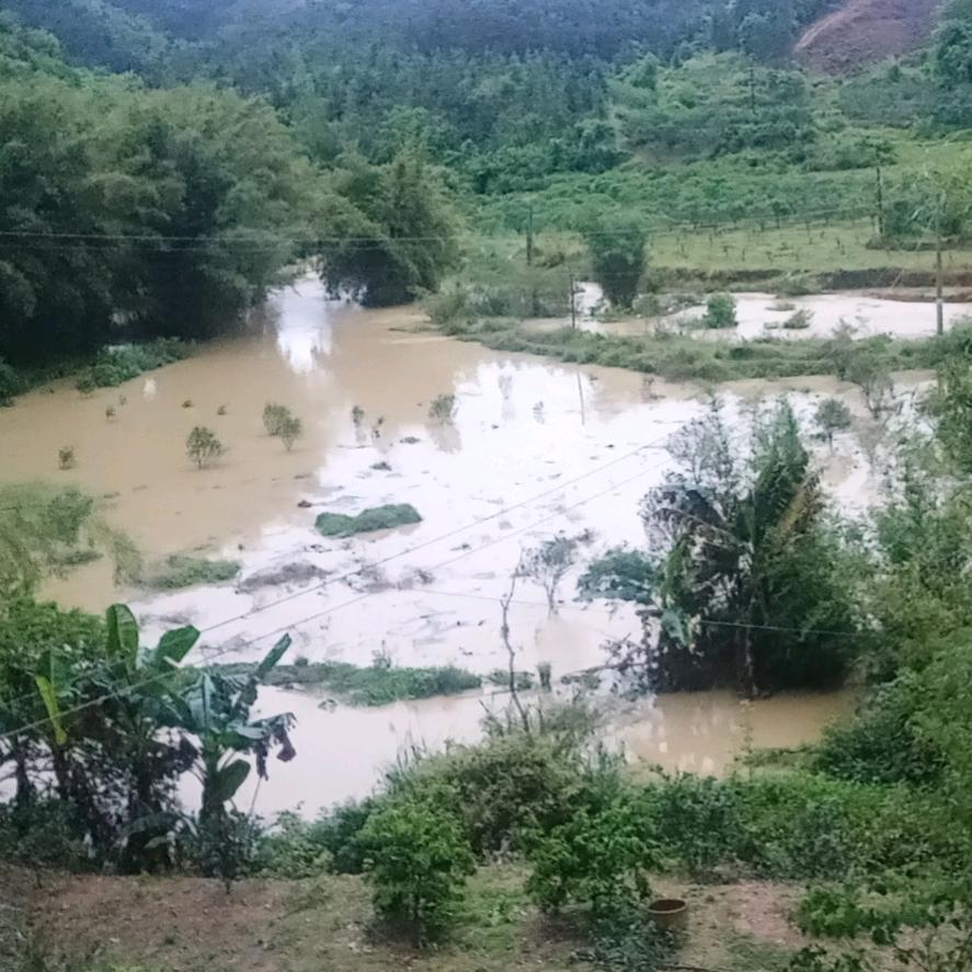 风雨同舟