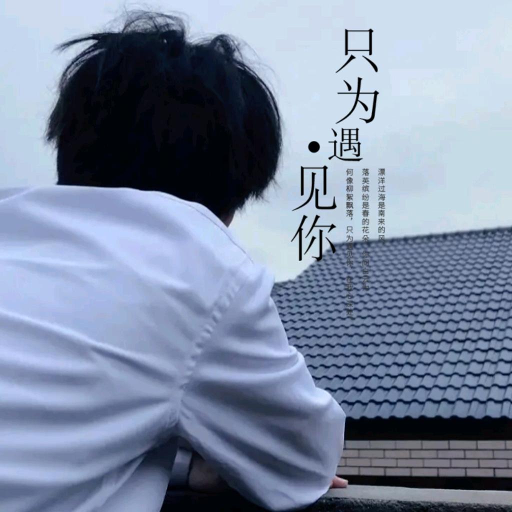 小雨的菜