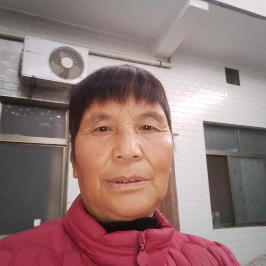 张都亲下午5点半直播