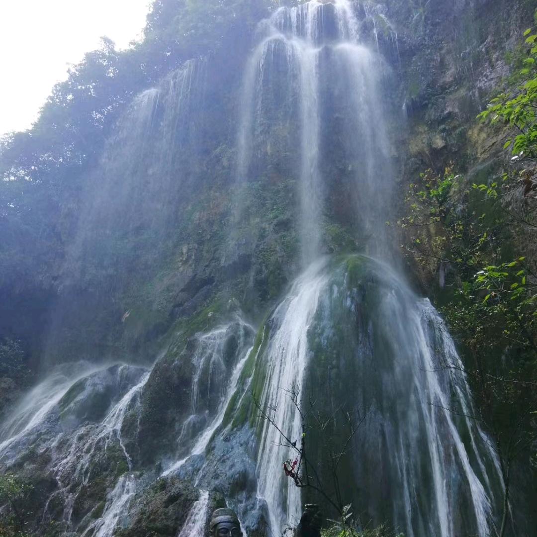 凌玲