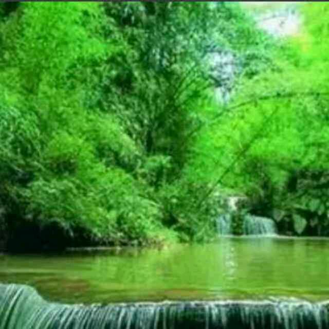 筑梦之龙行天下