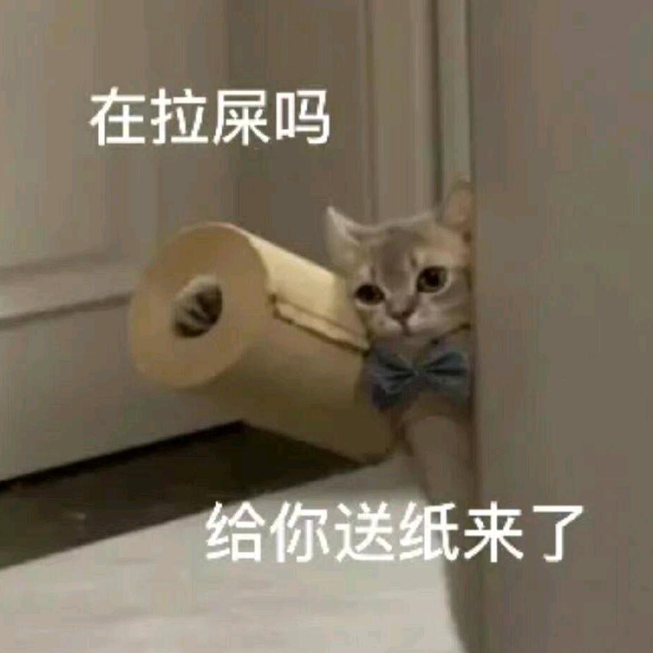 想睡觉头像