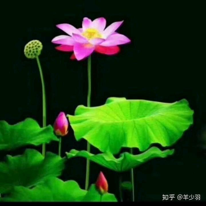 心想事成✔