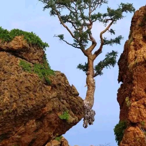 竹海野生动物园动管部一杨满山