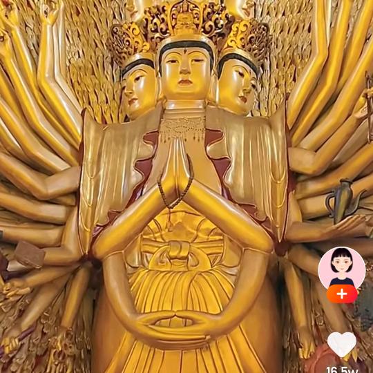 诺诺与声声