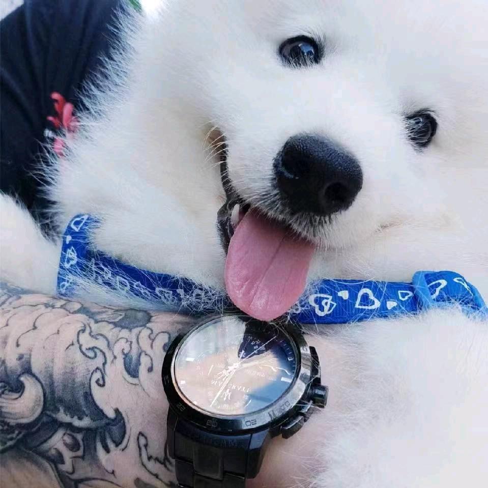 扬仔Oi📸