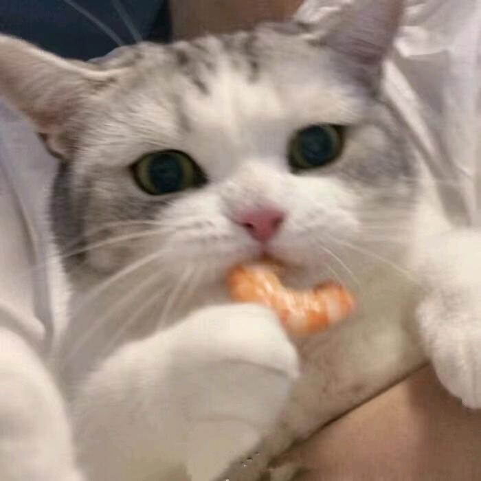 枫丶
