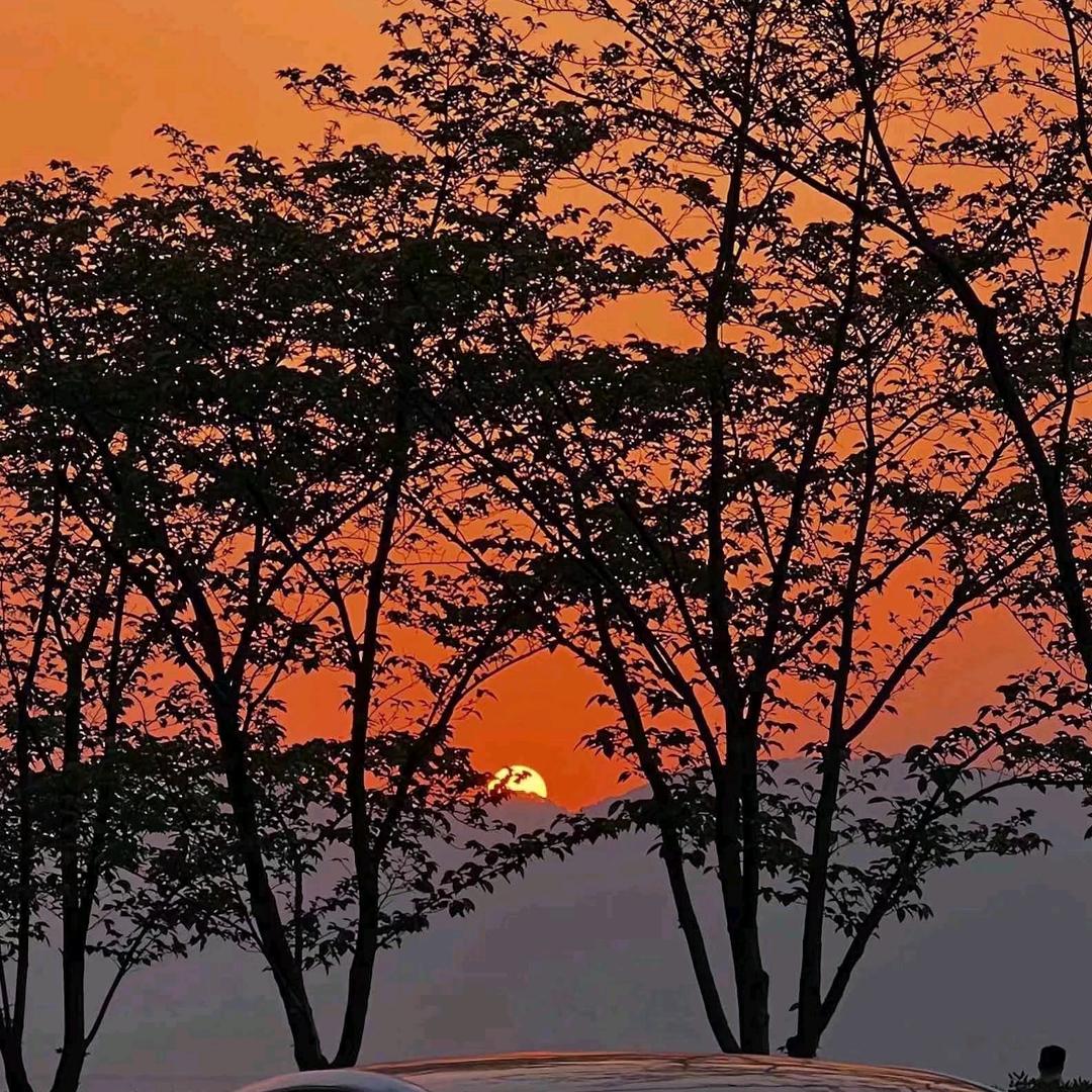 猛踹瘸子那条好腿🦵