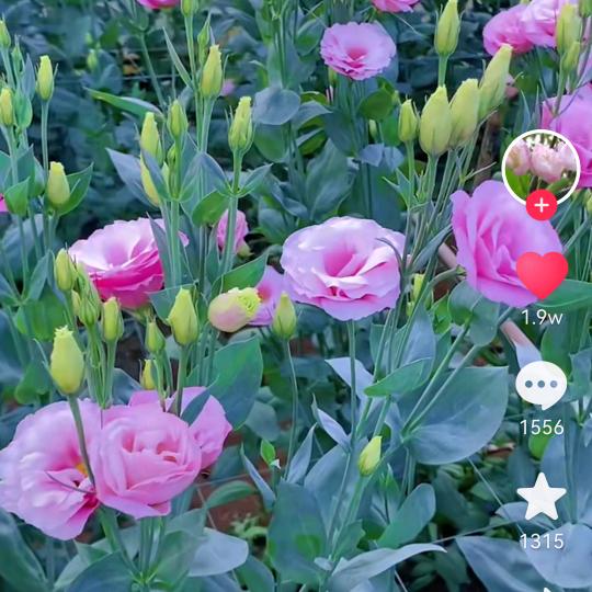 以诚为信，真诚与信任