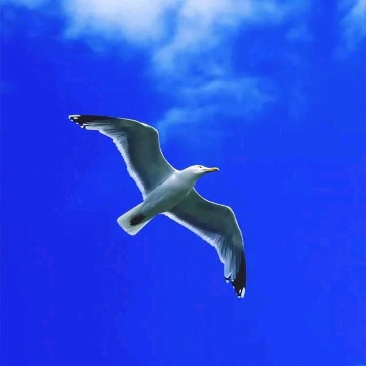 和煦的阳光