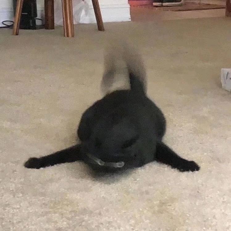 鹤阳