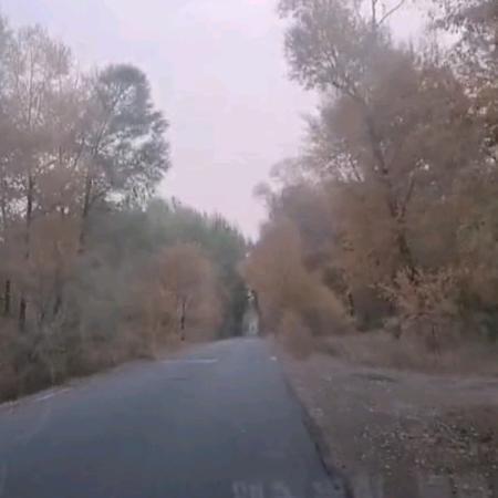 刘罗锅