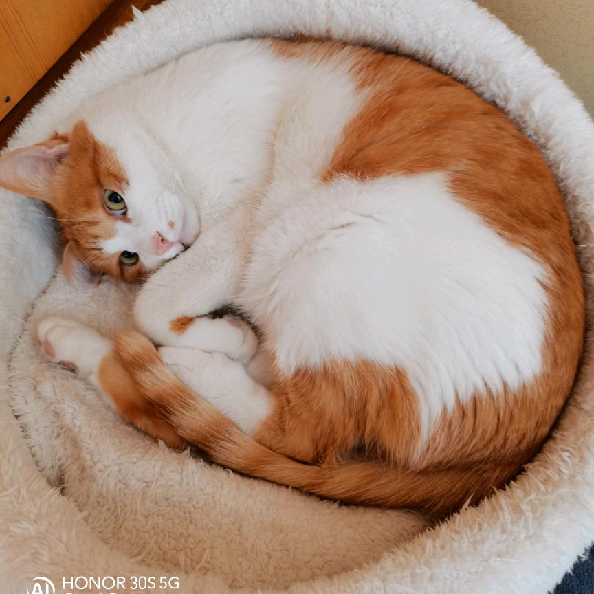 食人不吐骨头倒吐葡萄皮