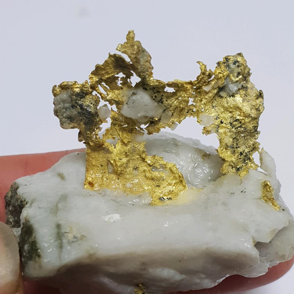 行行行全羊馆@蓬莱