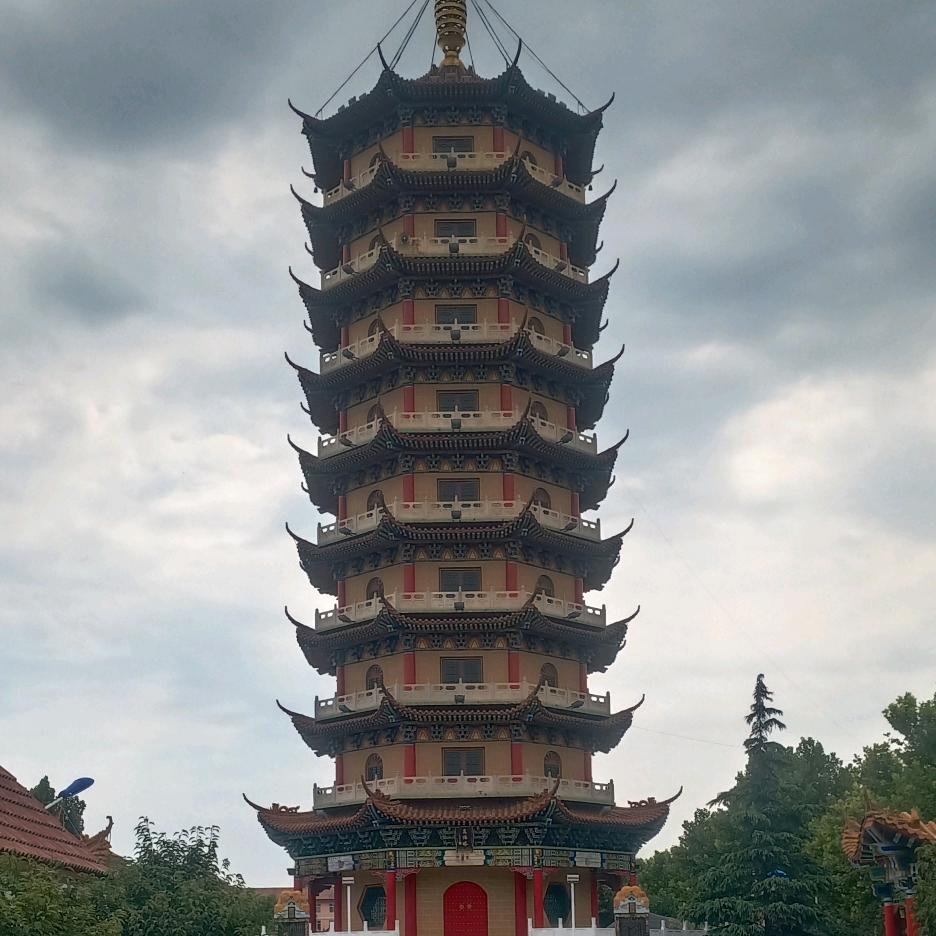 找个有情人
