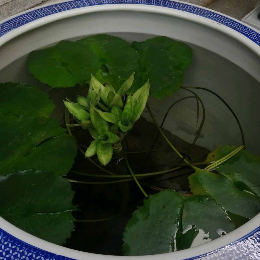 @❀哪年哪月哪日