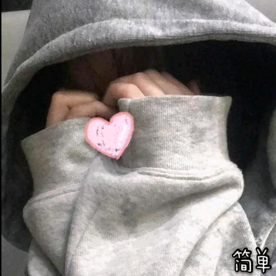 不甜李子