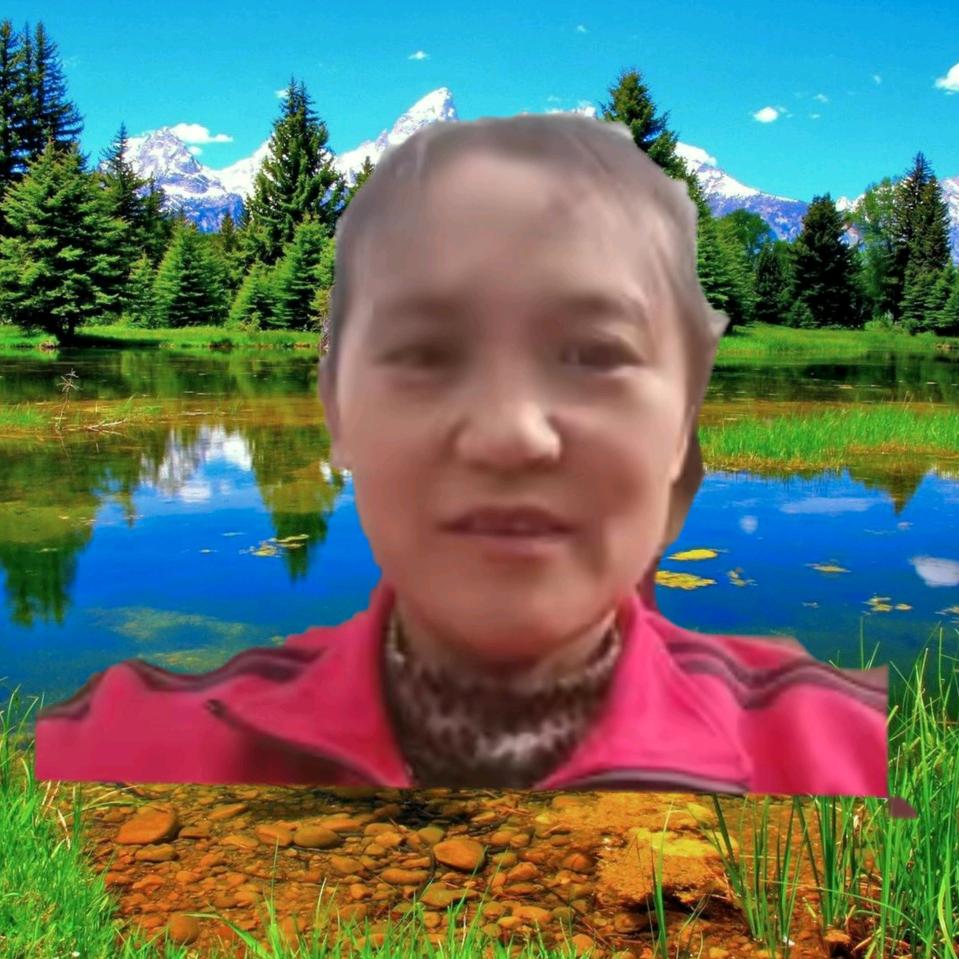 丁武英