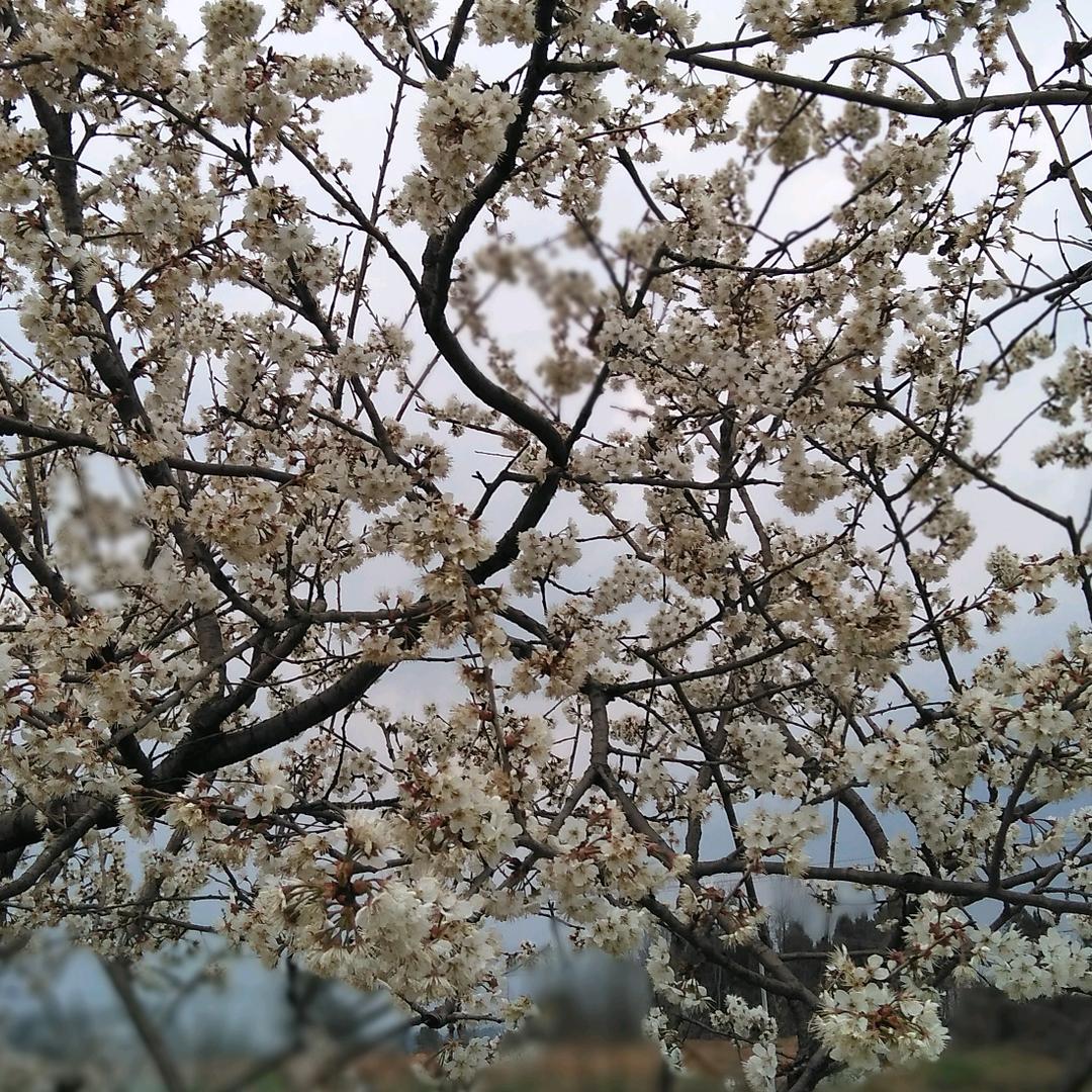代总