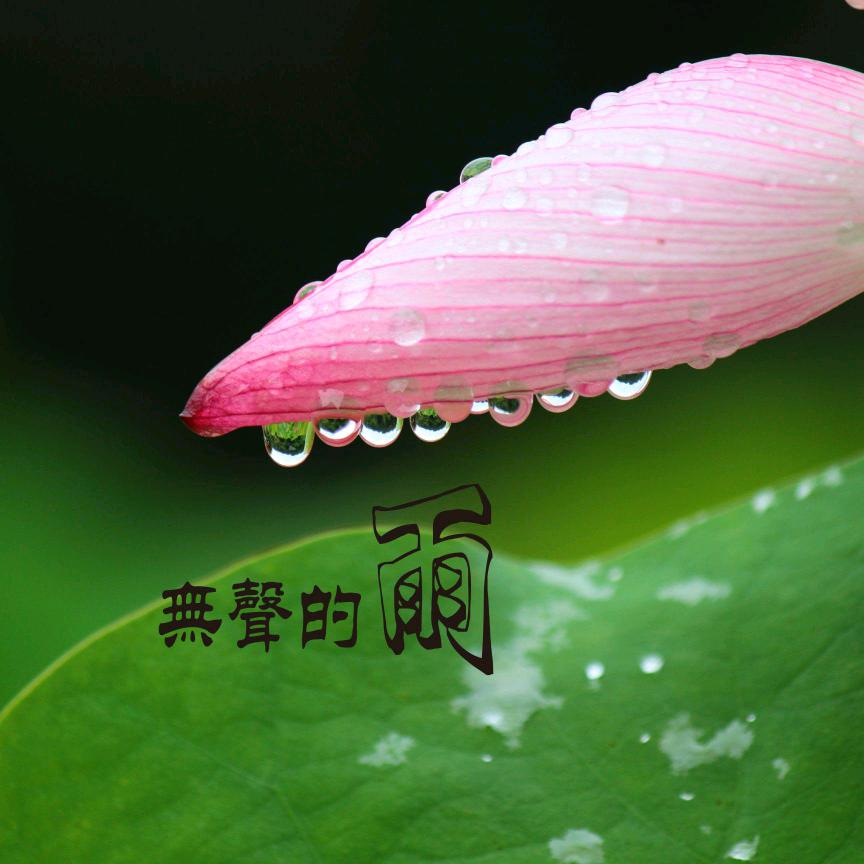 无声的雨·