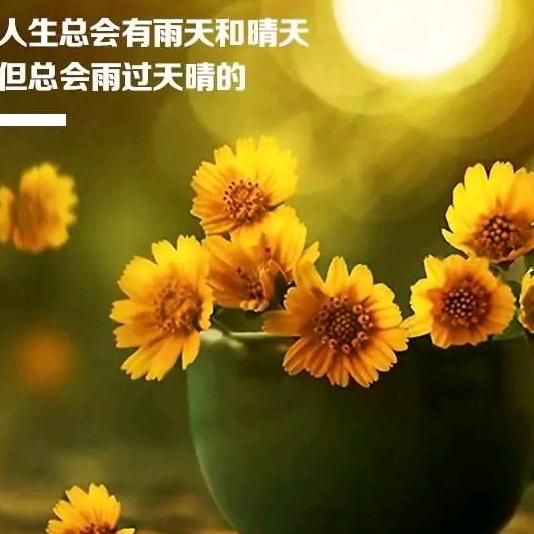 幸福一生🌺🌺🌺🌹🌹🌹