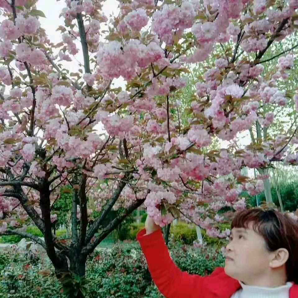弹棉花