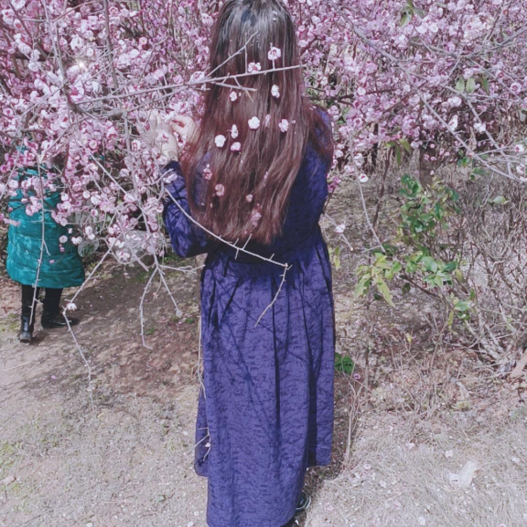 梦