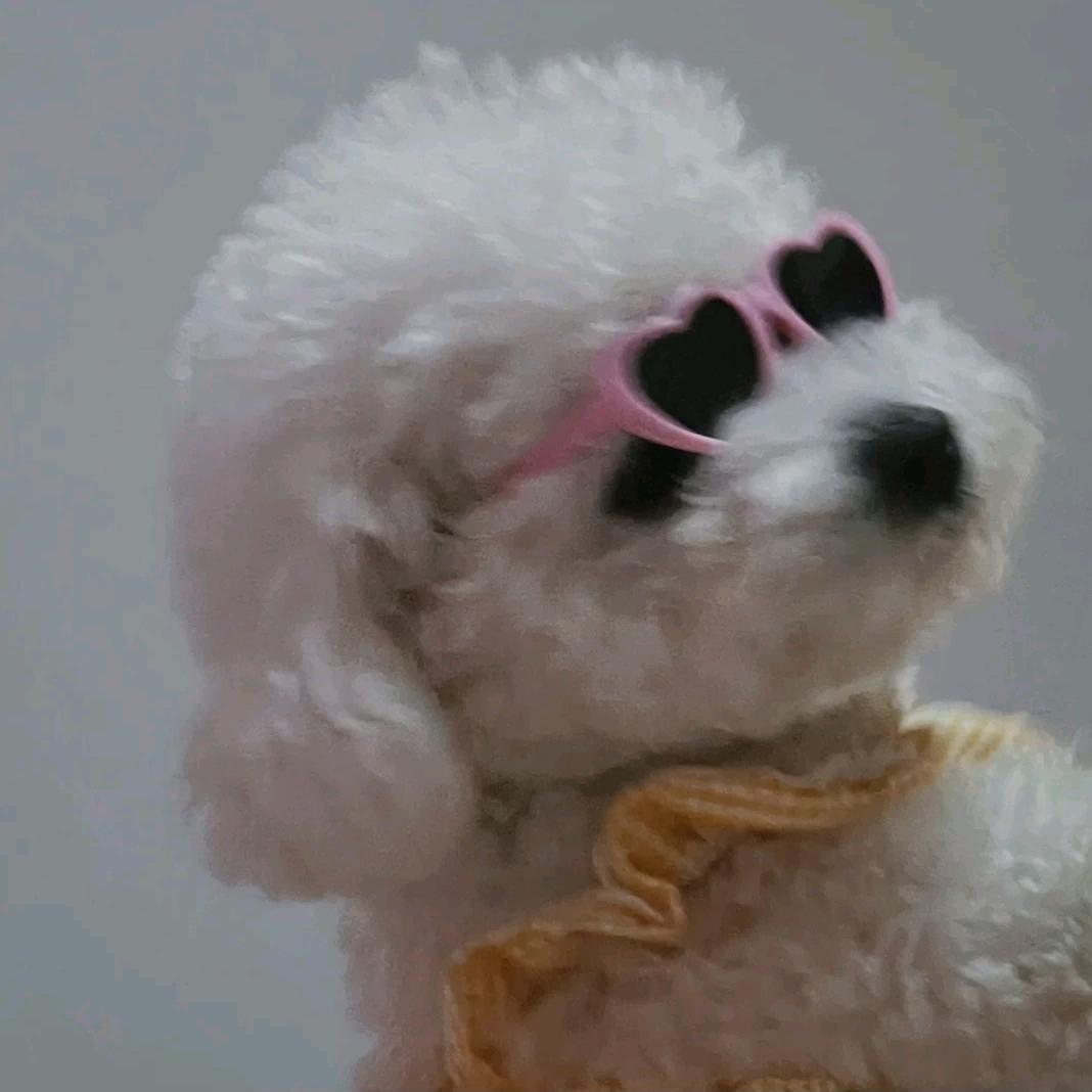 aaaaa.