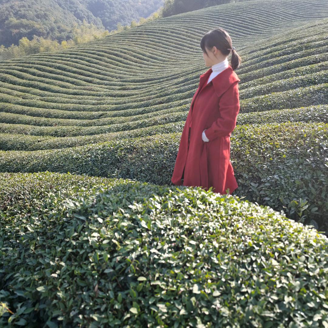 鱼丸子
