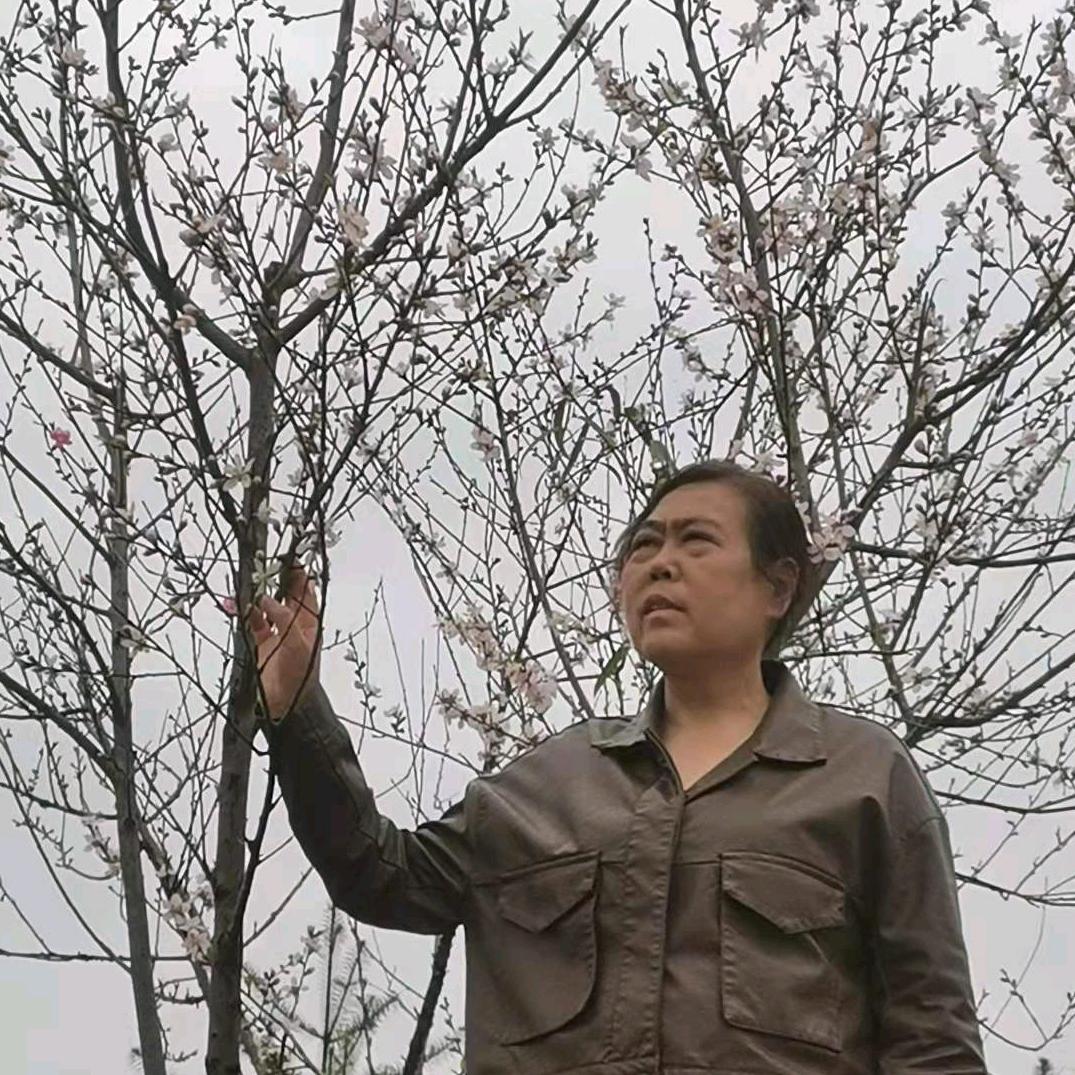 刘小梅