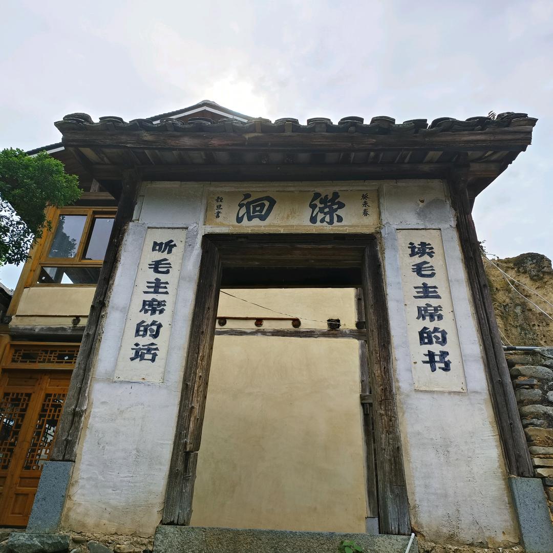 向前看齐