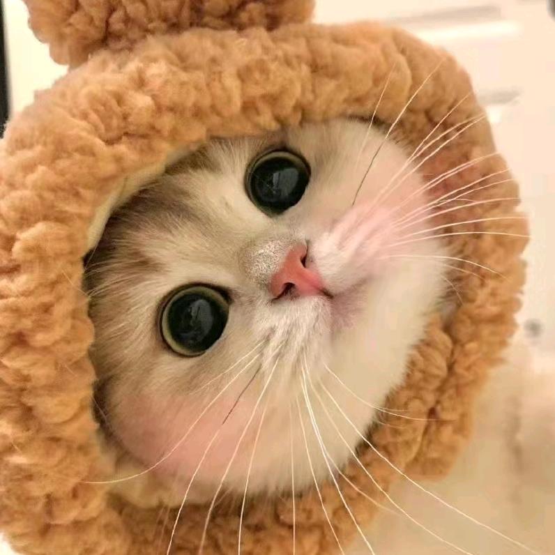 路过