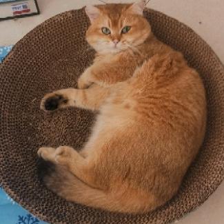 见一叶落而知岁之将暮