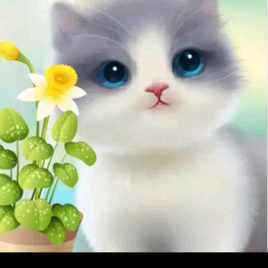 猛闯天涯