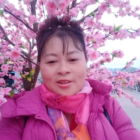 歌舞一秀晚上7点30分开播