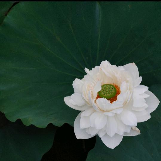এ💞ꦿ啄春泥º᭄এ
