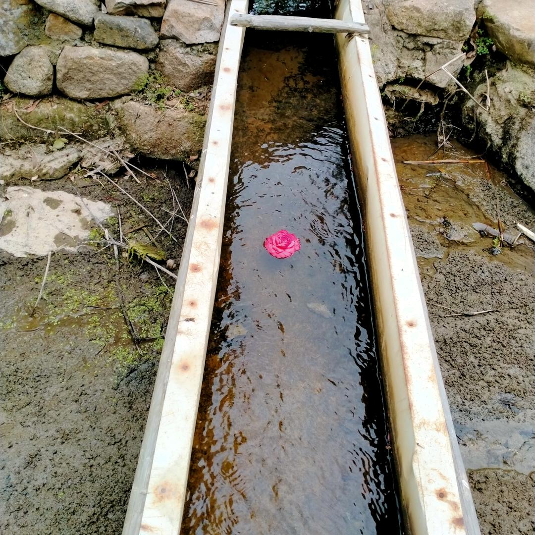 🥀陌路之后ꦿ້ᮨ໌℘  你懂的?