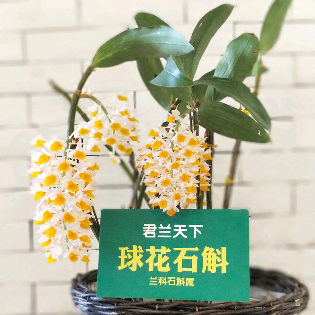 白云