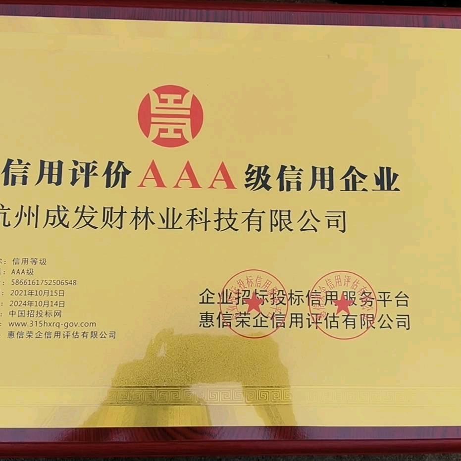 项成龙